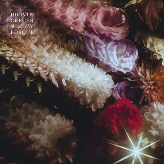 Hicimos Crecer un Bosque cover art