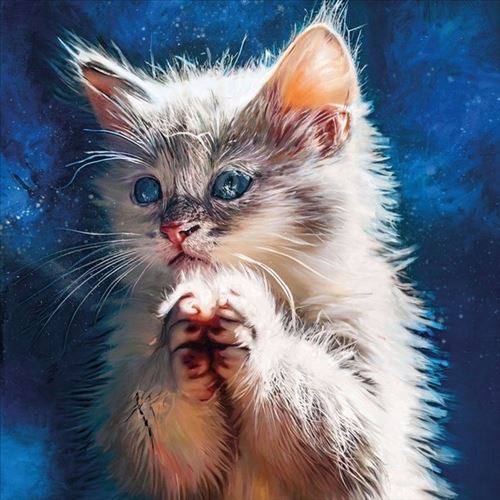 Pussy Disco: The Sunrise Sessions cover art