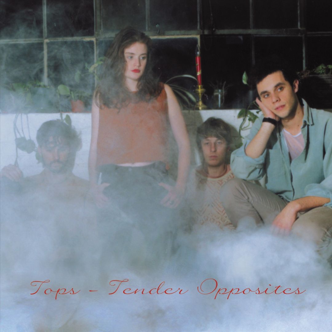 Tender Opposites cover art