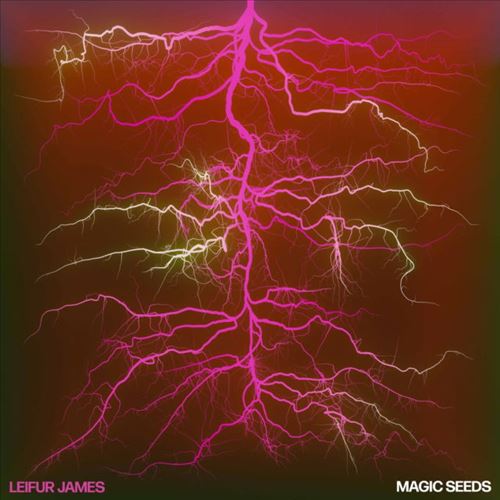 Magic Seeds [Limited Deluxe Ruby Red Colored Vinyl] cover art