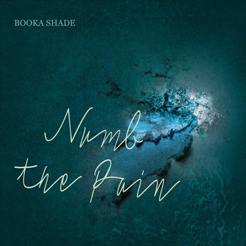 Numb the Pain cover art