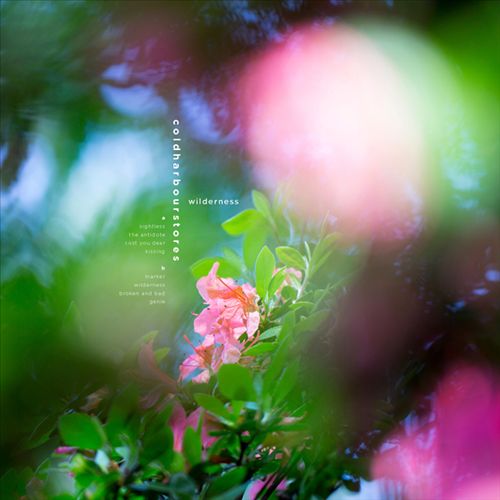 Wilderness cover art
