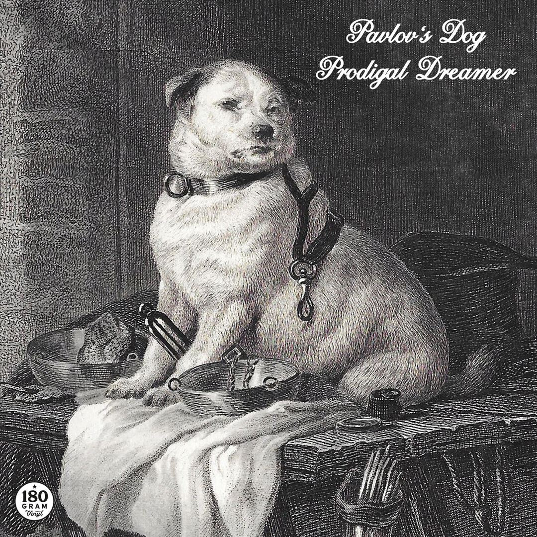 Prodigal Dreamer cover art