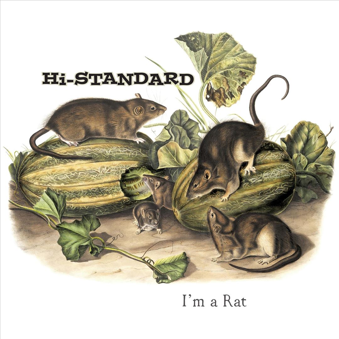 I'm a Rat cover art
