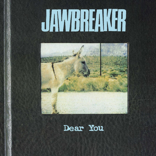Dear You [LP] cover art