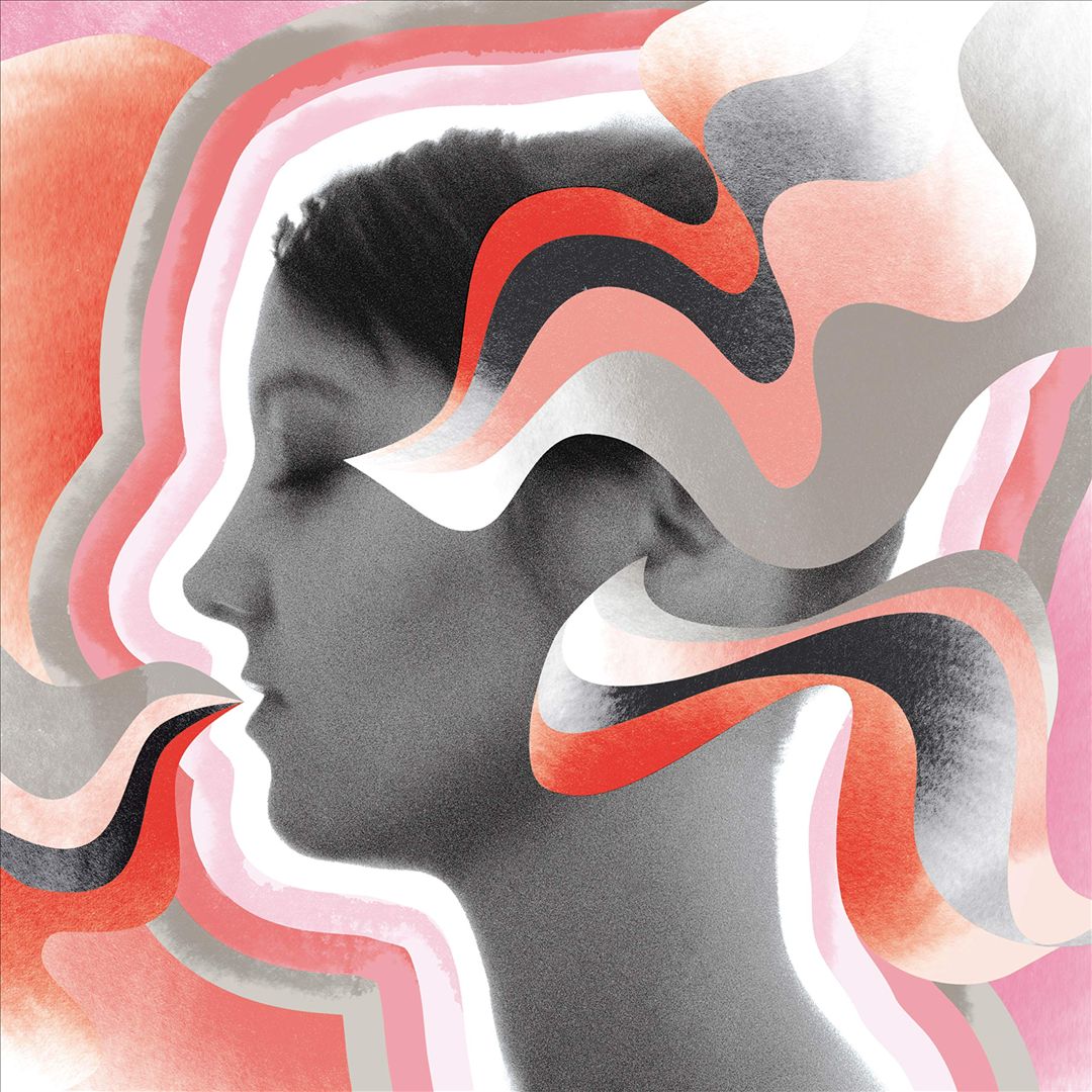 Halluzinationen cover art