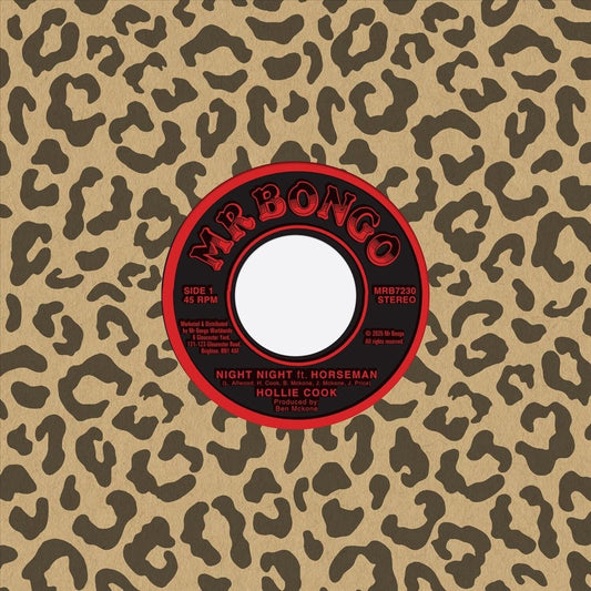 Night Night cover art