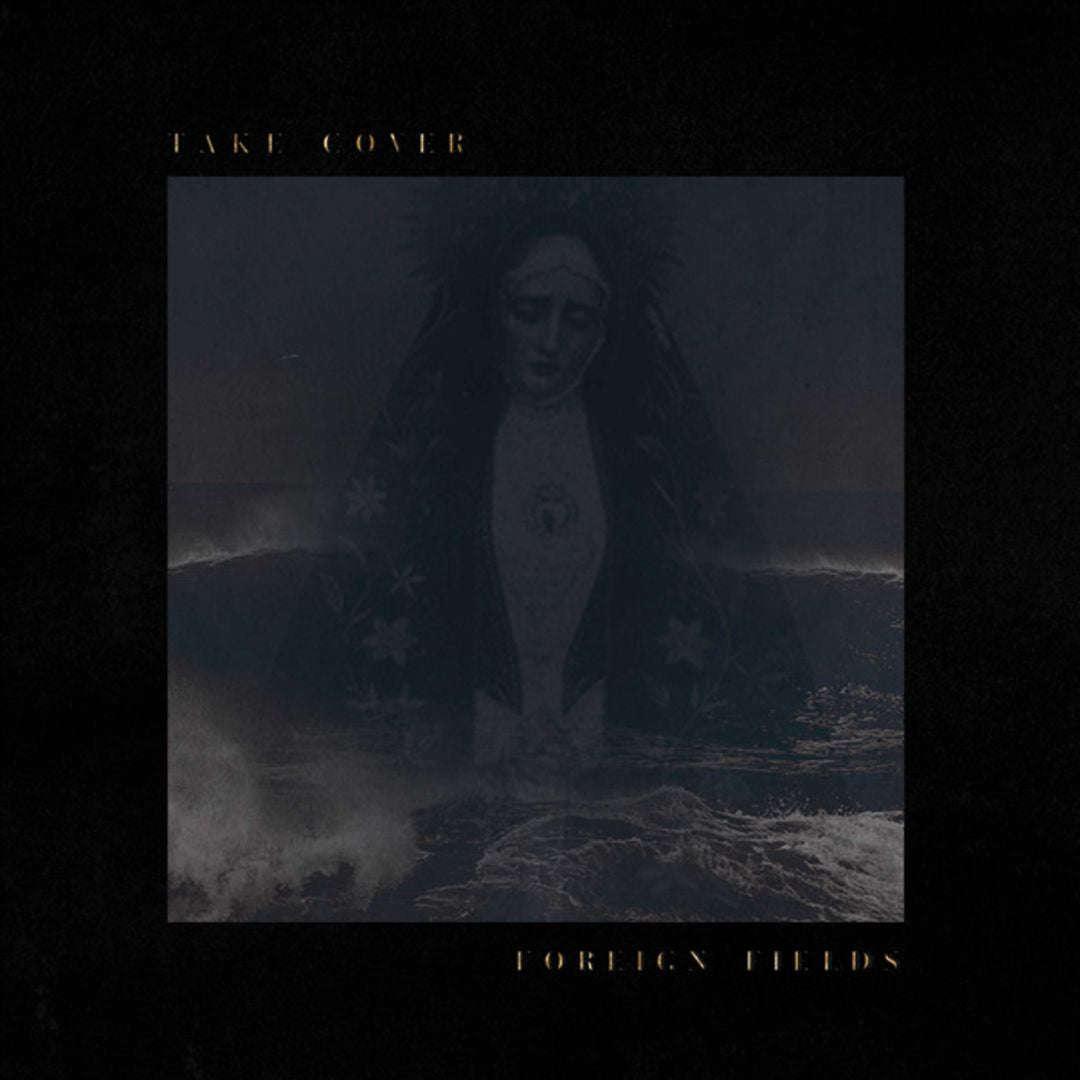 Take Cover cover art