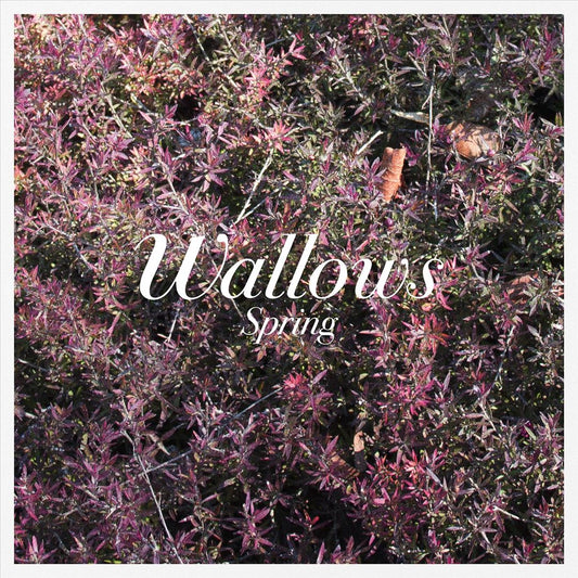 Spring cover art