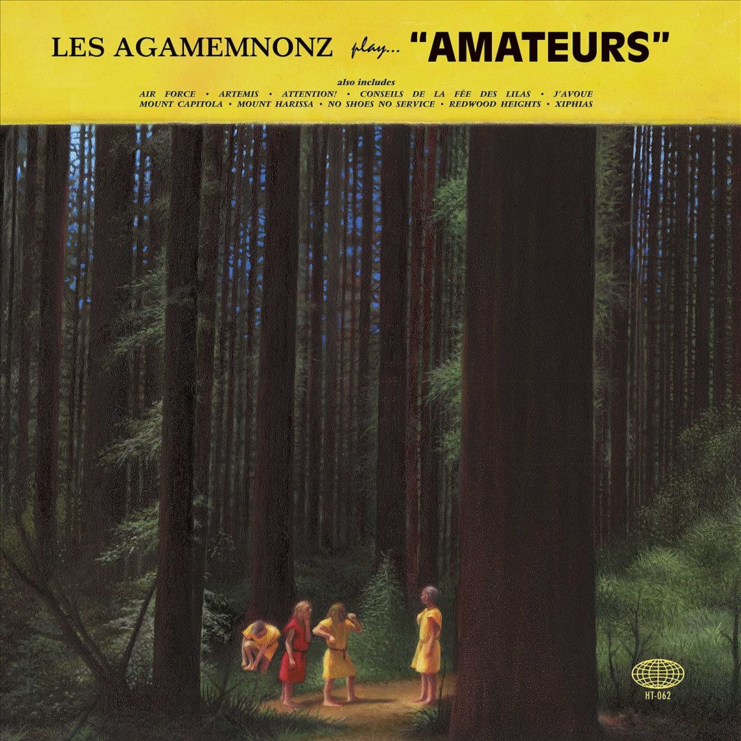 Amateurs cover art