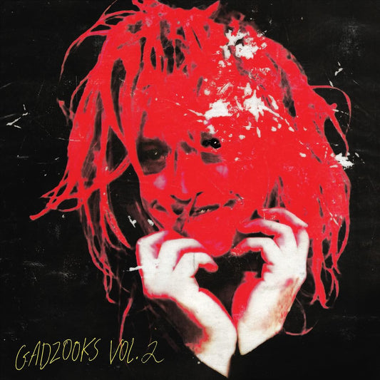 Gadzooks, Vol. 2 cover art