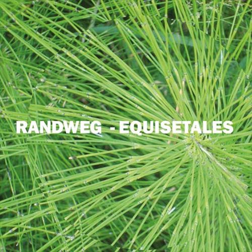 Equisetales cover art
