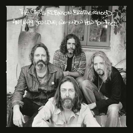 Anyway You Love, We Know How You Feel [LP] cover art