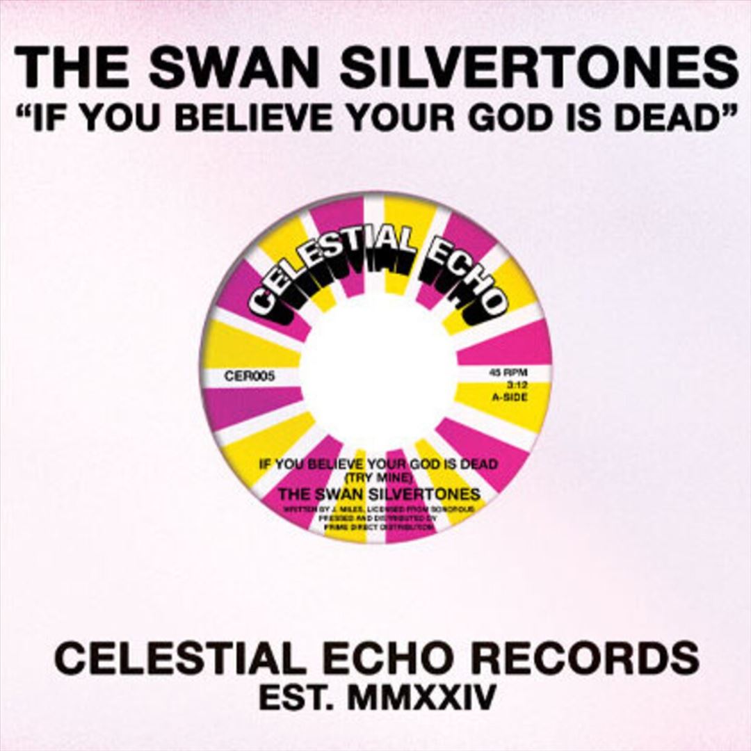 If You Believe Your God Is Dead cover art