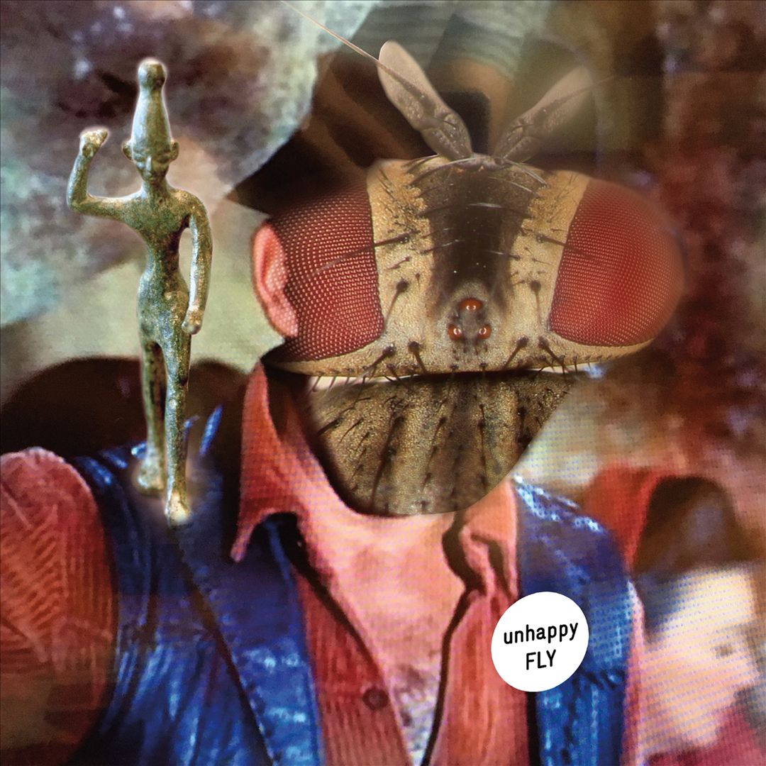 Unhappy Fly cover art