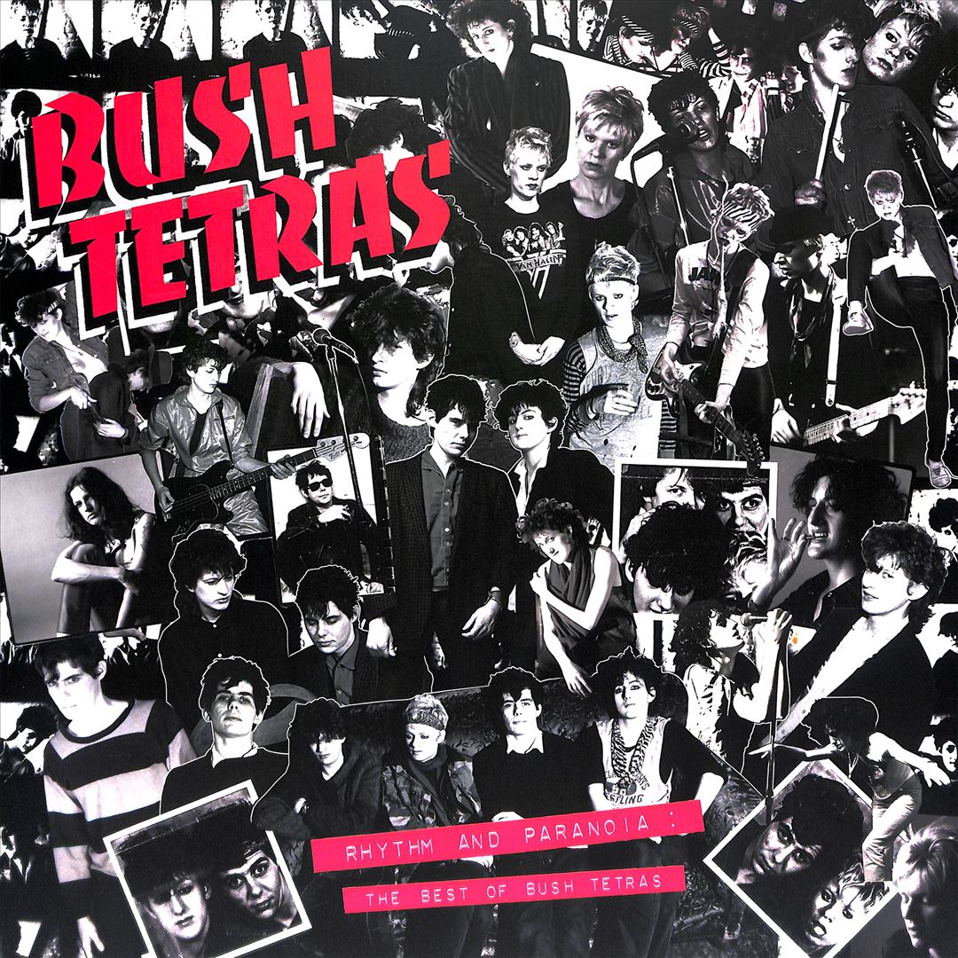 Rhythm & Paranoia: The Best of Bush Tetras cover art
