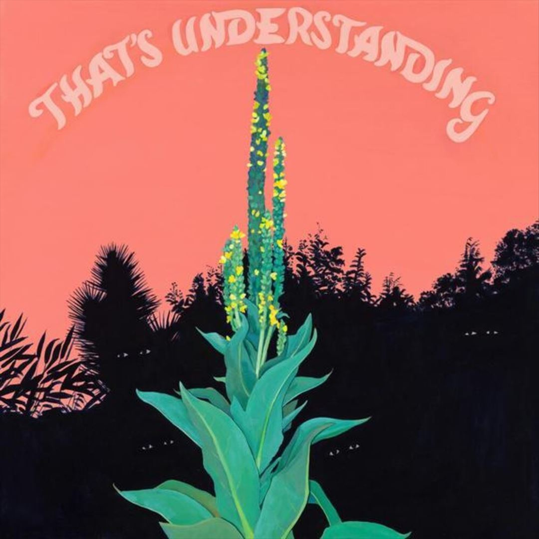 That's Understanding cover art
