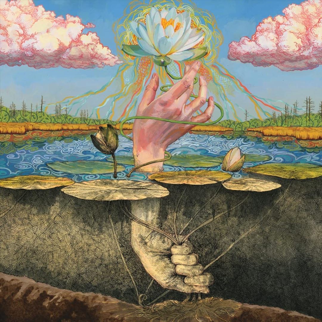 Phototroph cover art