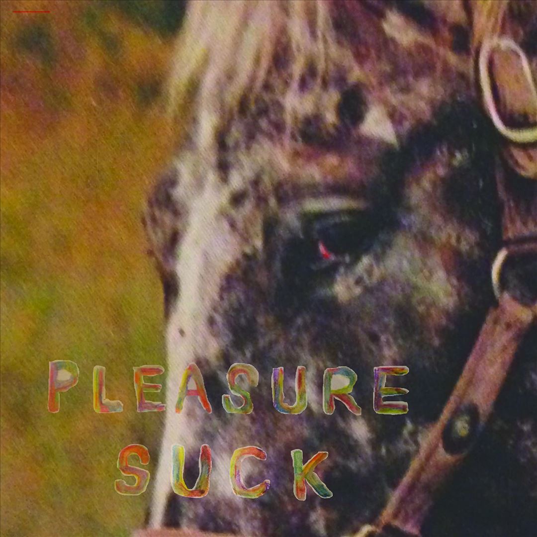 Pleasure Suck cover art