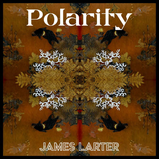 Polarity cover art