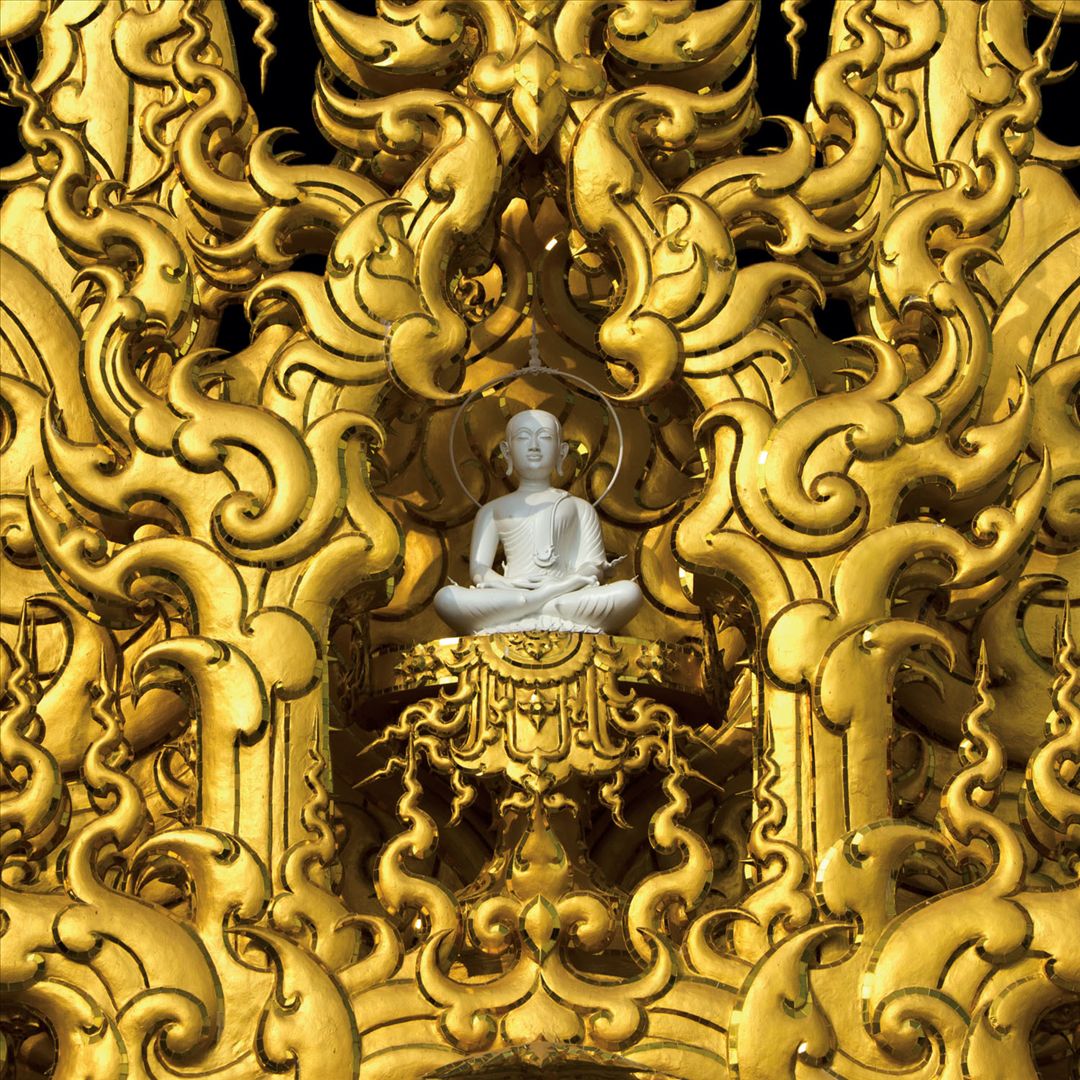 Catharsis [Gold Vinyl] cover art