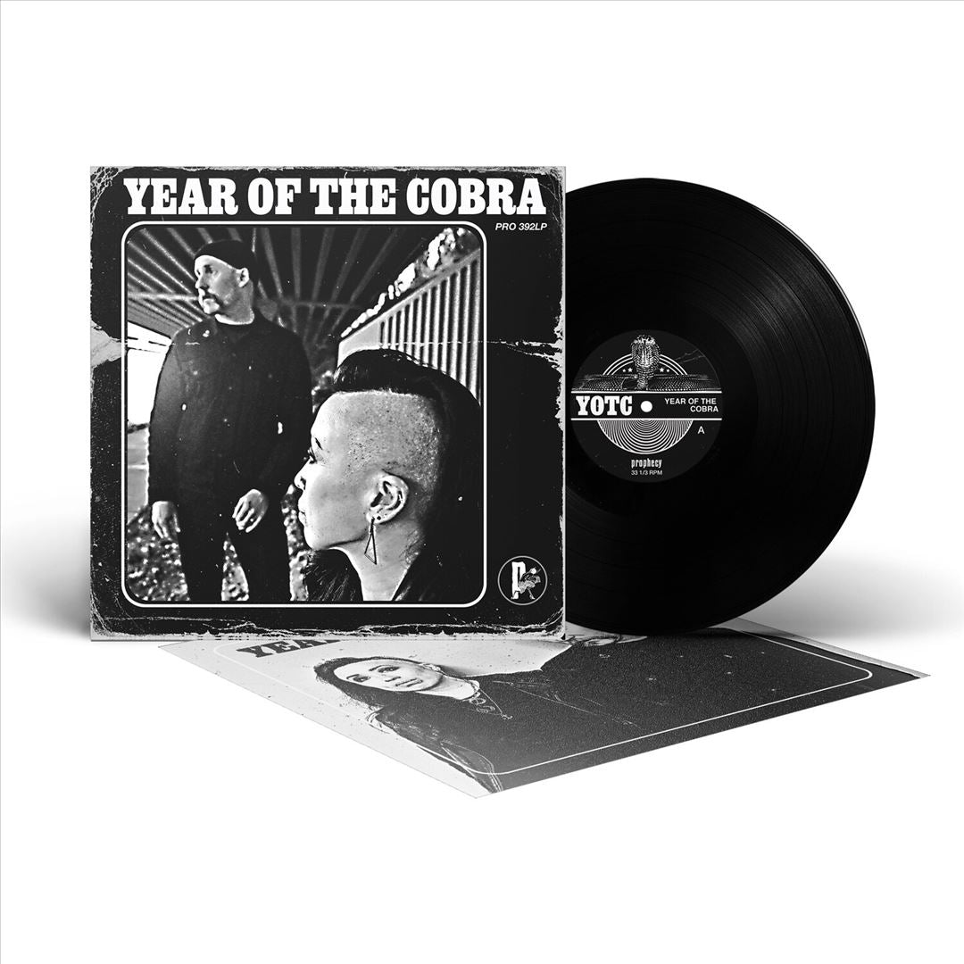 Year of the Cobra cover art