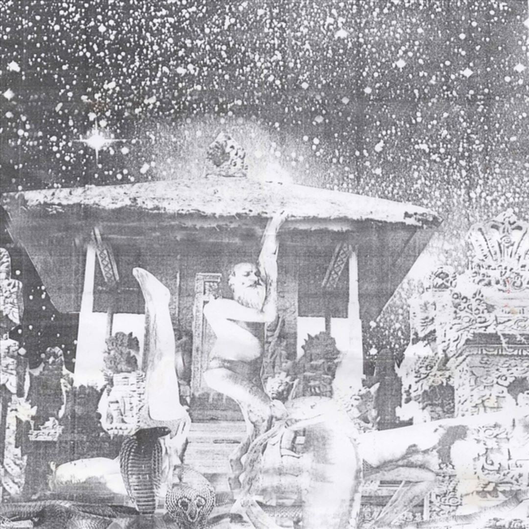 Snakinist Sand Form / No Jaw Nite Rights cover art