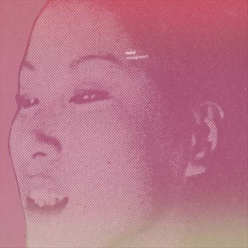 Norwegianism cover art