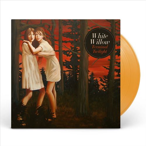 Terminal Twilight cover art