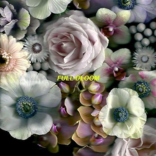 Full Bloom cover art