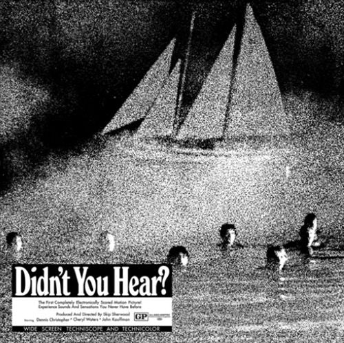 Didn't You Hear? cover art