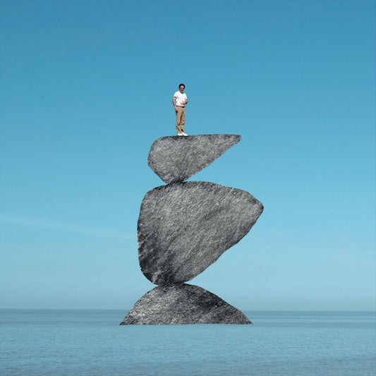 Wandering Rebel  cover art