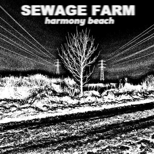 Harmony Beach cover art