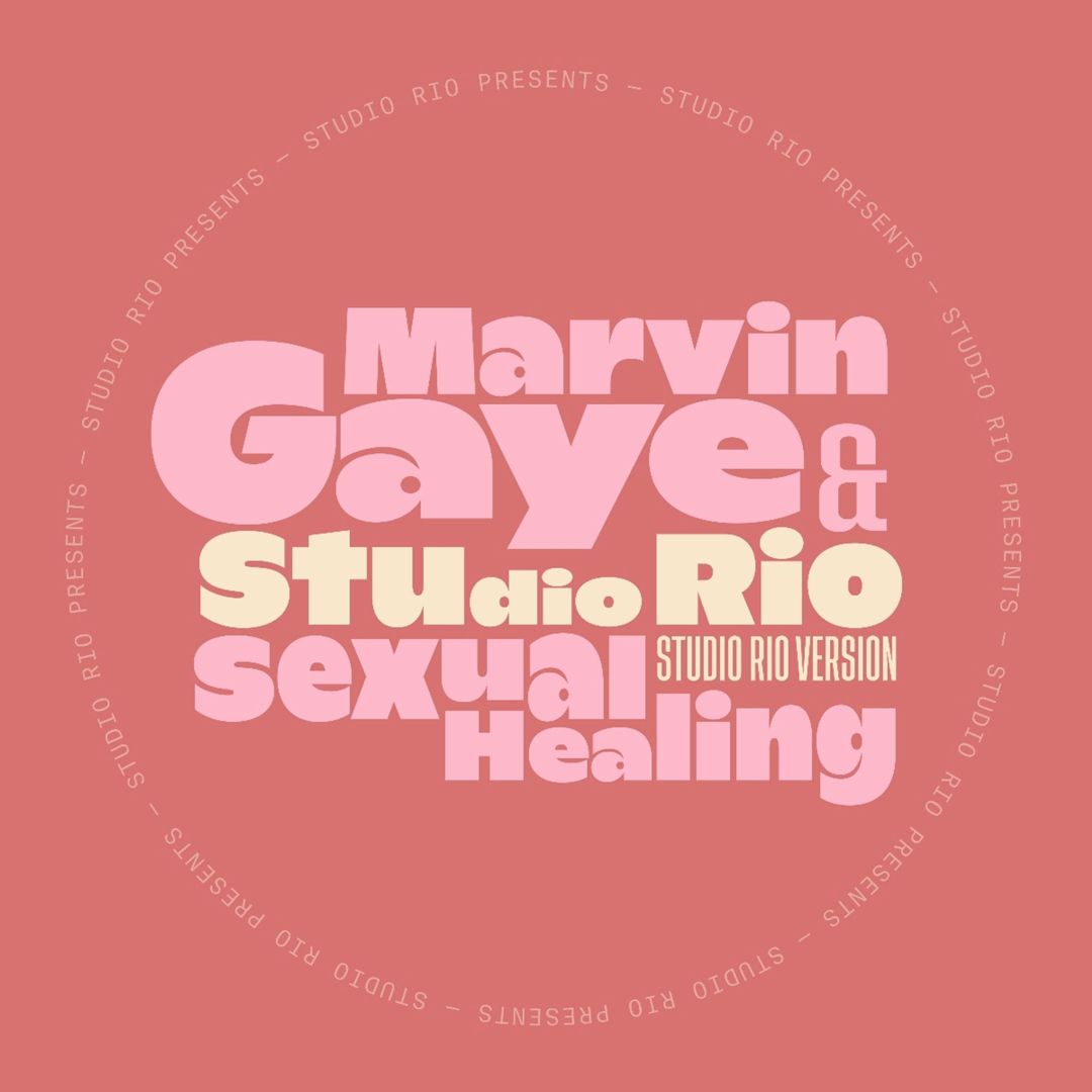 Sexual Healing [Single] cover art