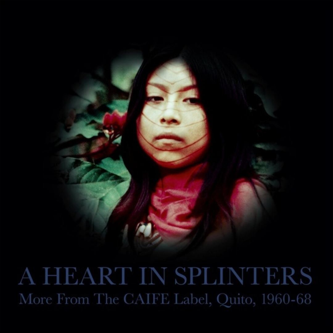 Heart in Splinters cover art