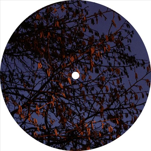 Quest 14 EP cover art