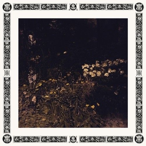 Pale Bloom cover art