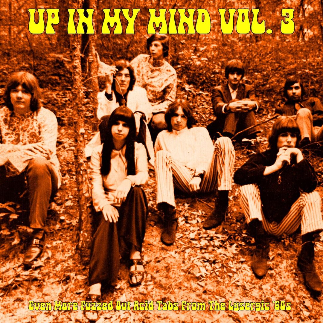 Up in My Mind Vol. 3: Even More Fuzzed Out Acid Tabs From the Lysergic '60S [Various Artists] cover art