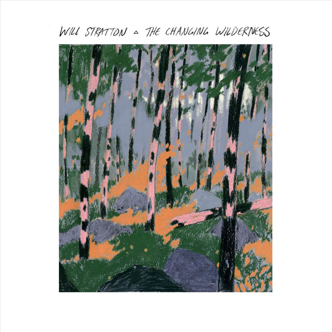 Changing Wilderness cover art