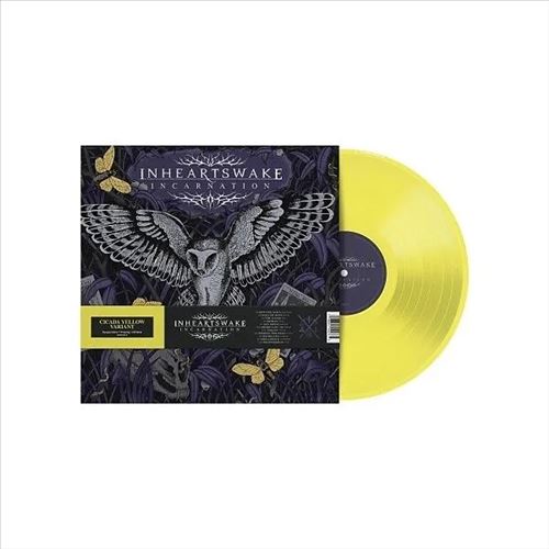 Incarnation cover art