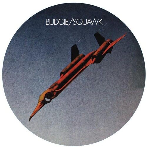 Squawk cover art