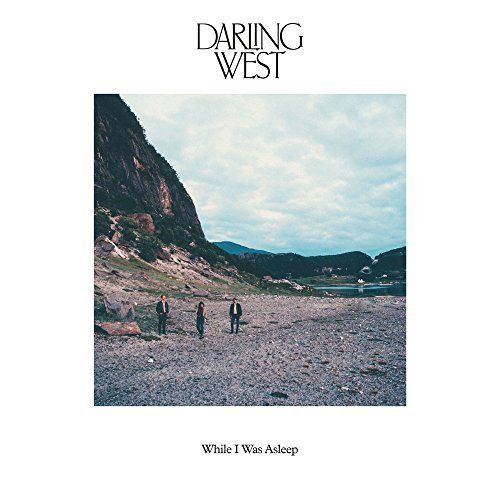 While I Was Asleep cover art
