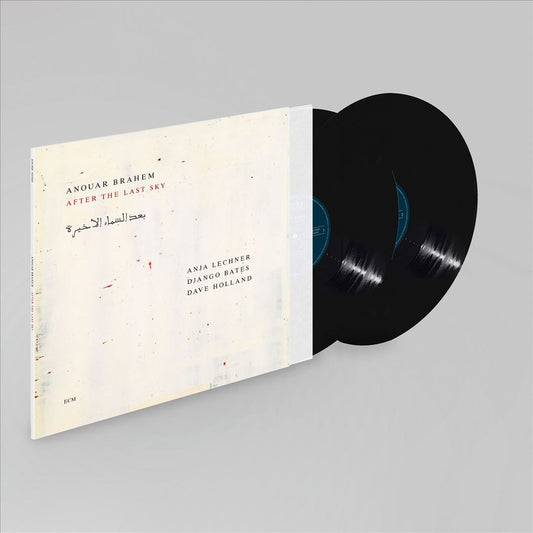 After the Last Sky [2 LP] cover art