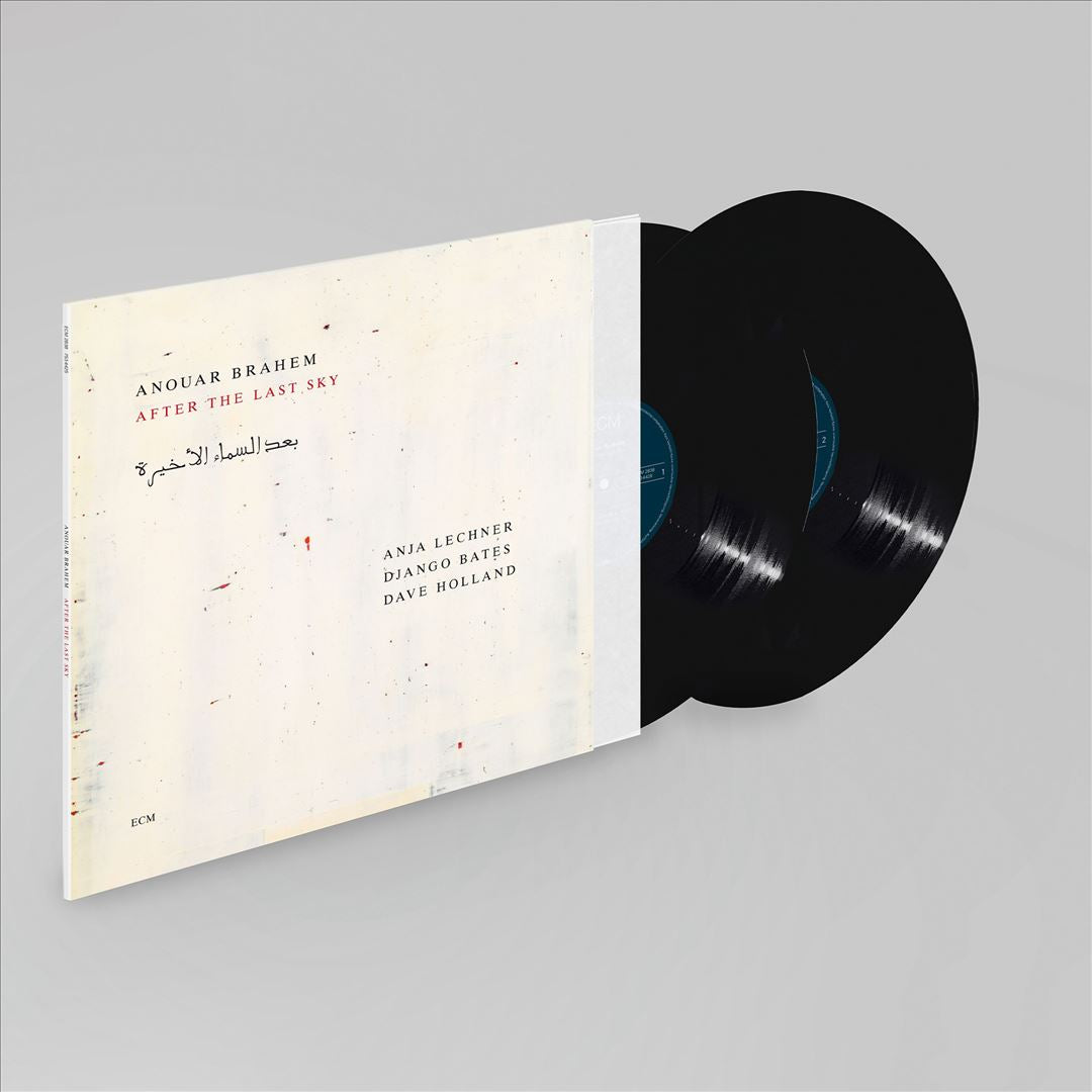 After the Last Sky [2 LP] cover art