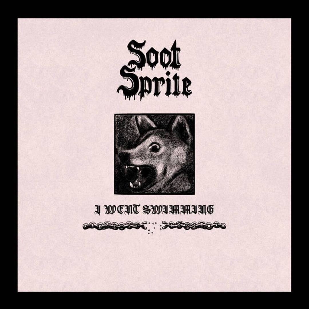I Went Swimming cover art