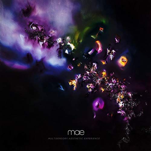 Multisensory Aesthetic Experience cover art