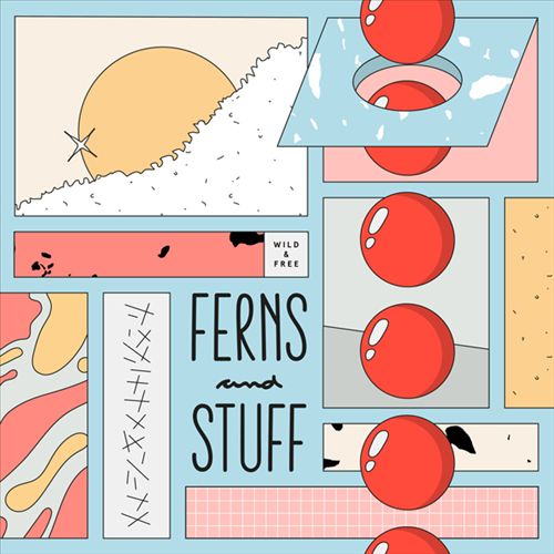 Ferns and Stuff cover art