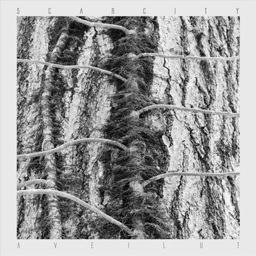 Aveilut cover art