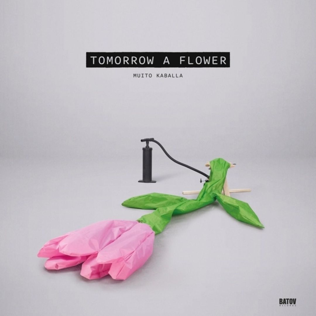 Tomorrow a Flower cover art