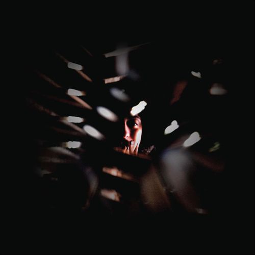 Shadowland cover art